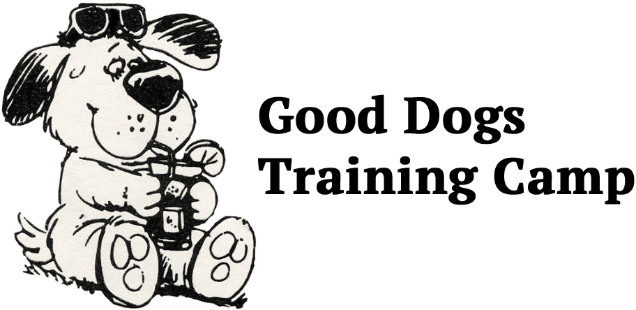 Enjoying the Company of Dogs | Dorman&rsquo;s Dog Blog
