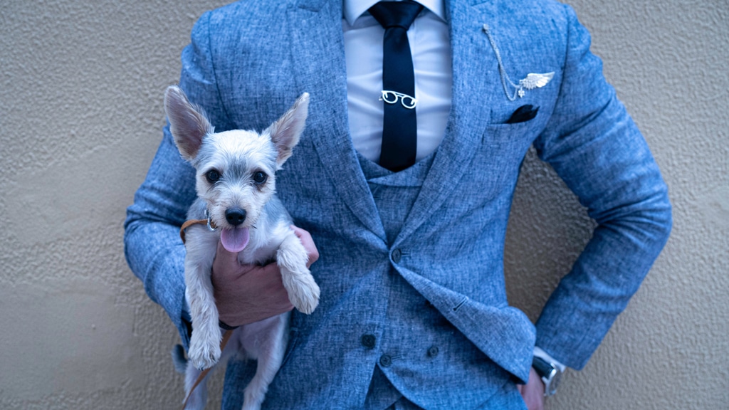 suited-person-holding-puppy1024