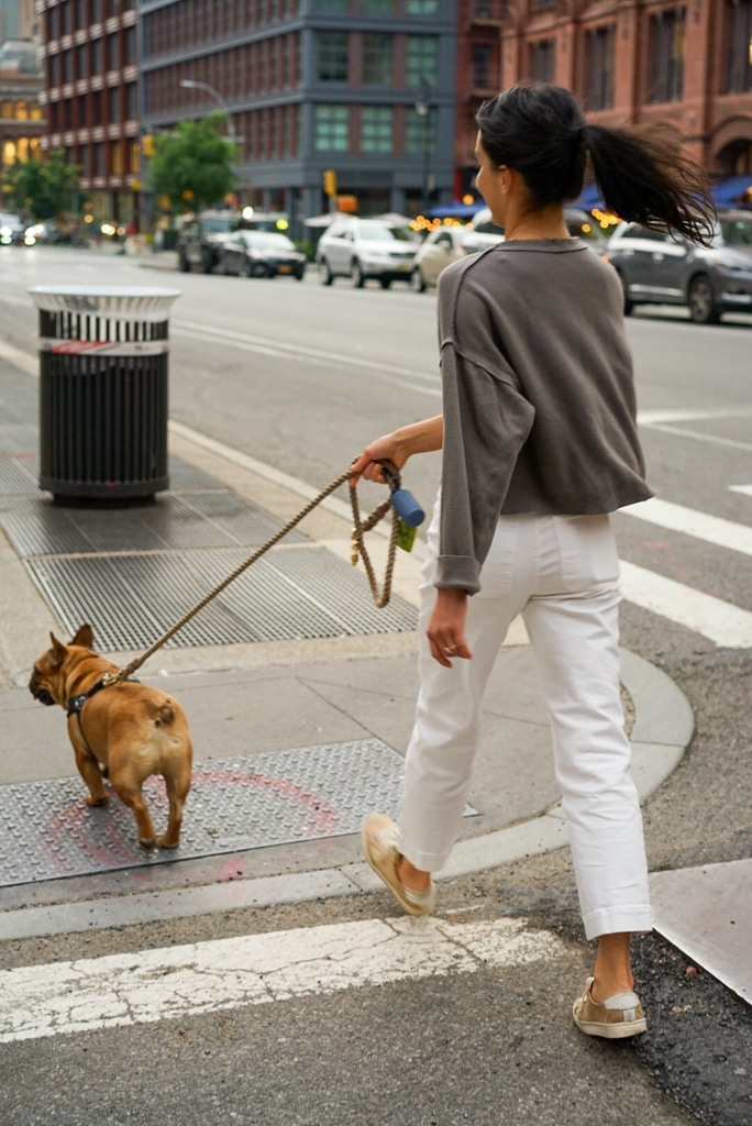 Reviews woman walking dog down street