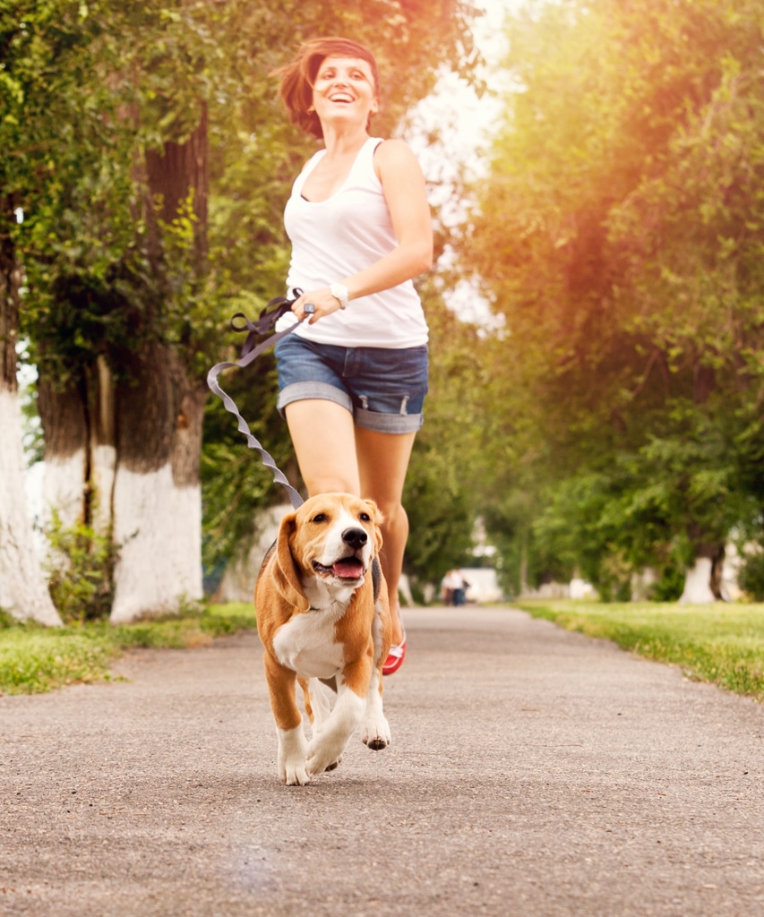 Dog Training Jacksonville Beach woman jogging with her beagle dog Premium Board & Train